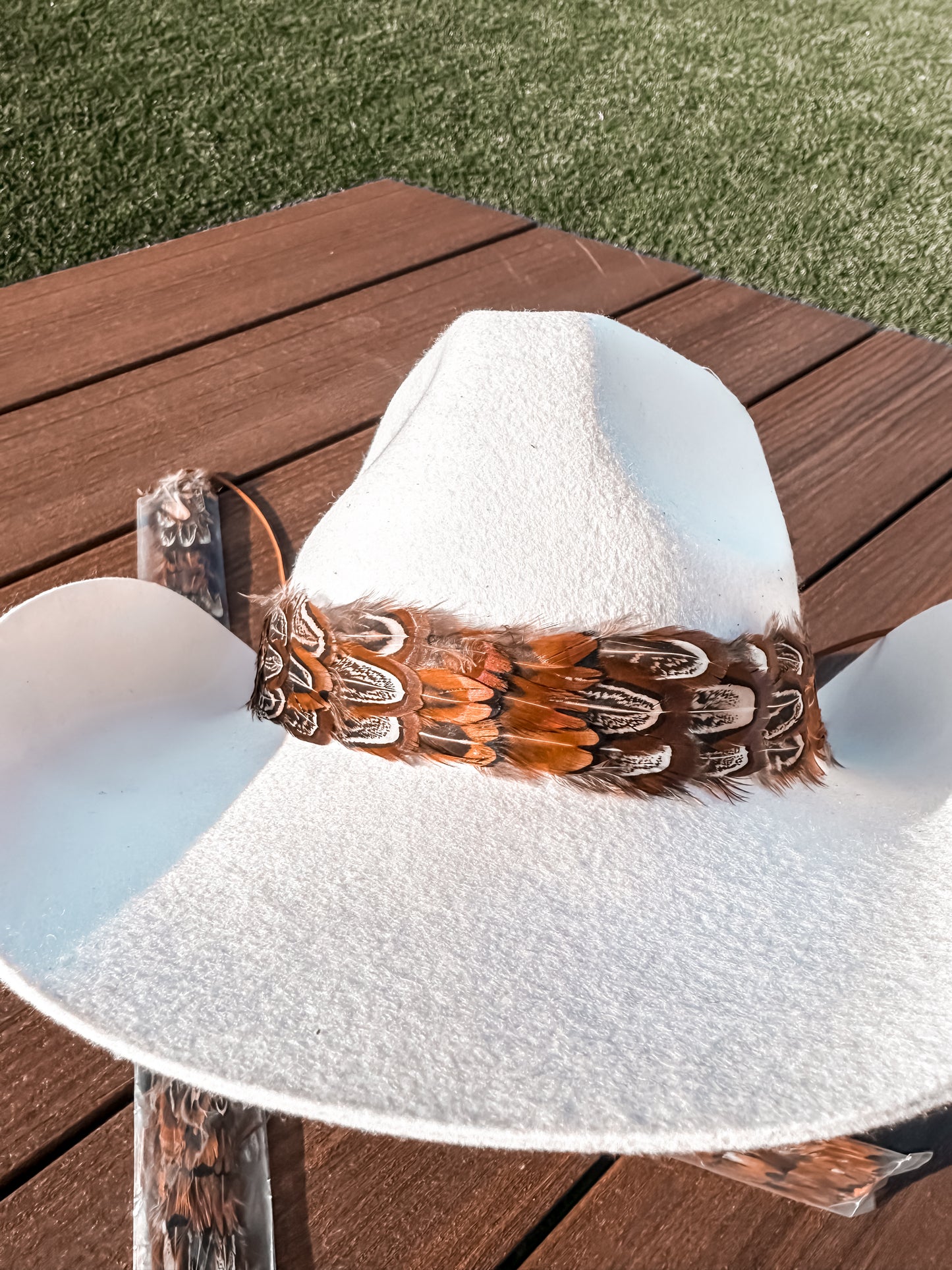 Feather hat band , iridescent feathers